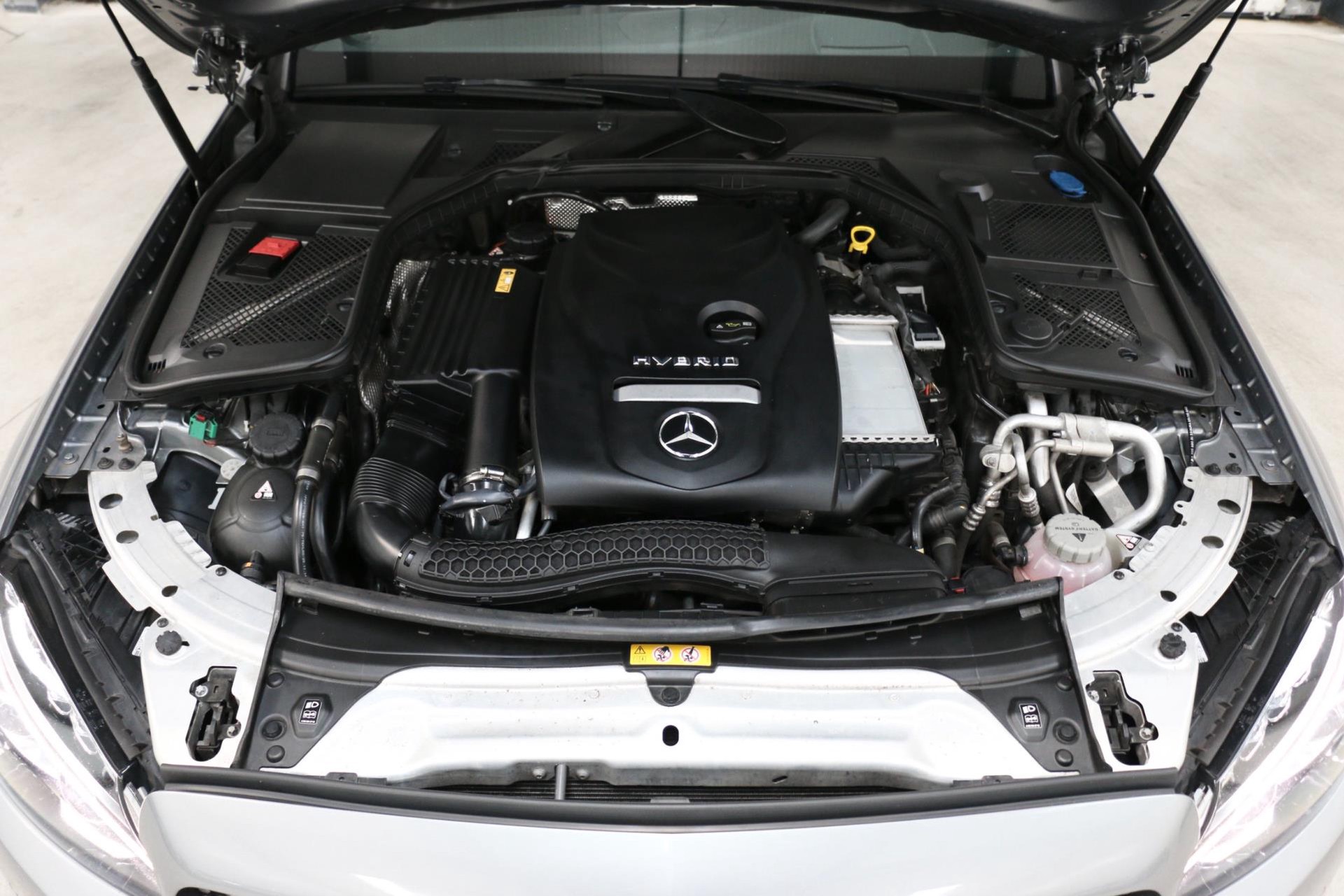 30028737-72.jpg