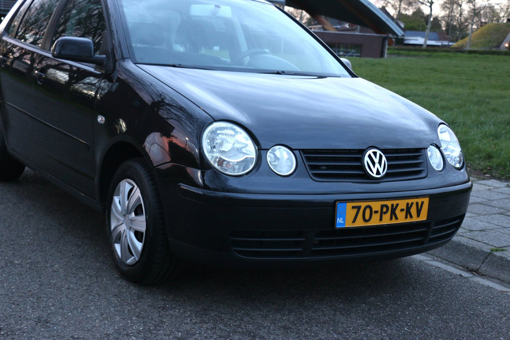 52769232-7.jpg
