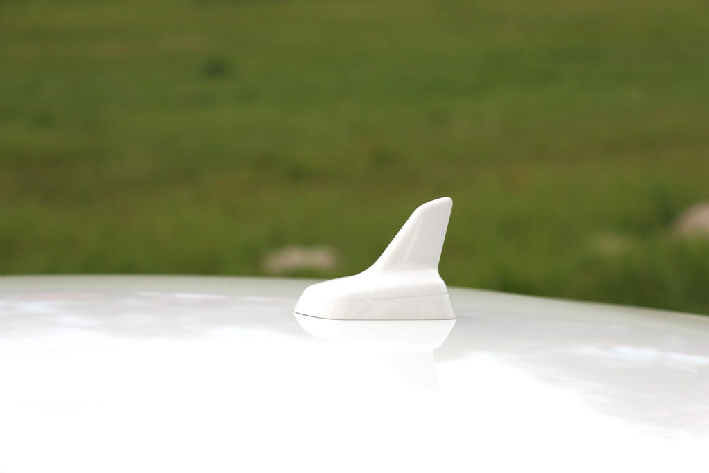 52890451-17.jpg